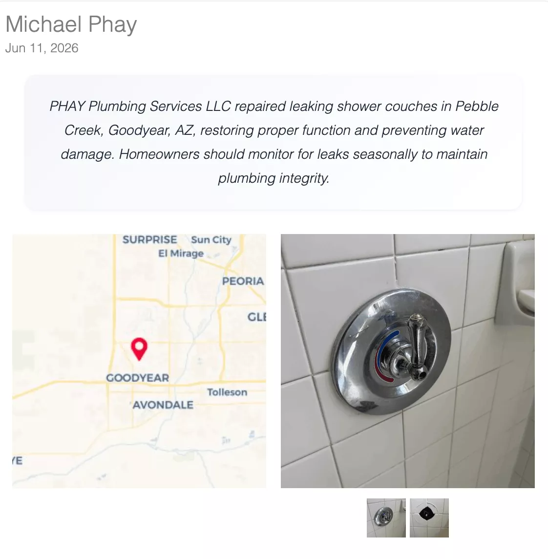 DataPins job check-in from June 11, 2026 showing a leaking shower valve repaired in Pebble Creek, Goodyear, AZ with location map and photo