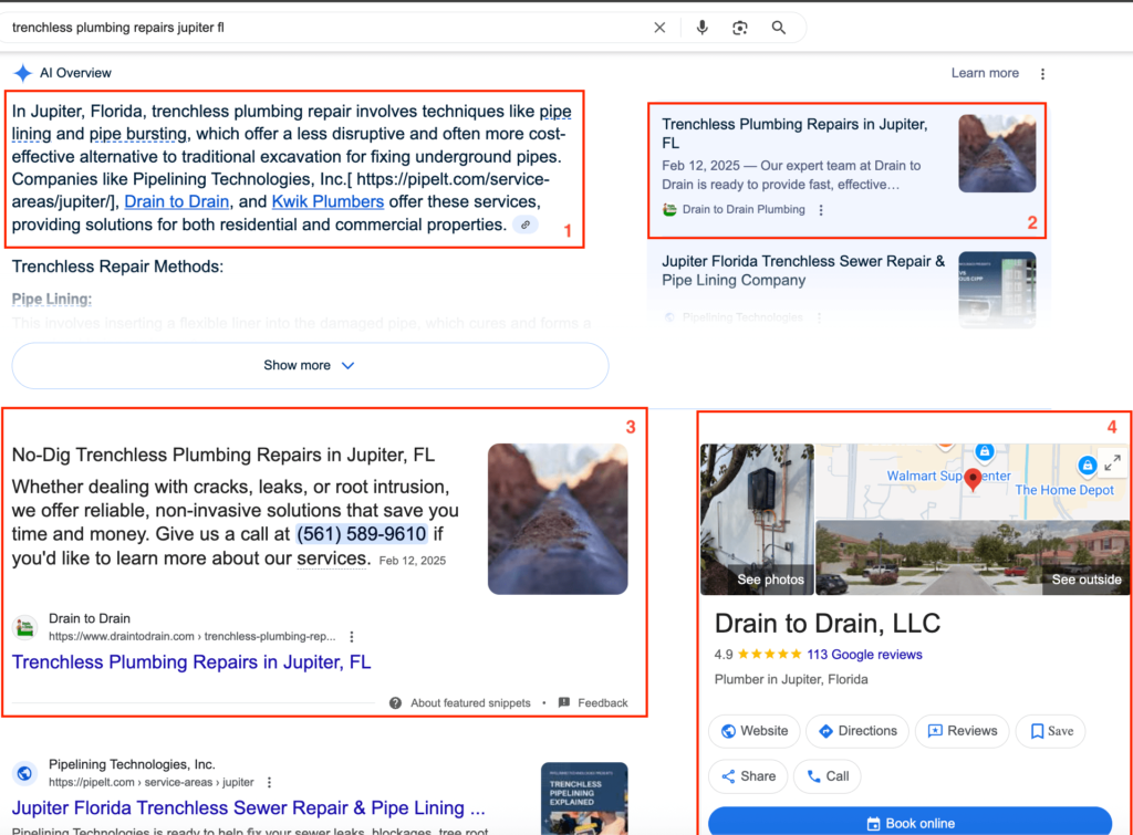 DataPins client dominating Google local search results