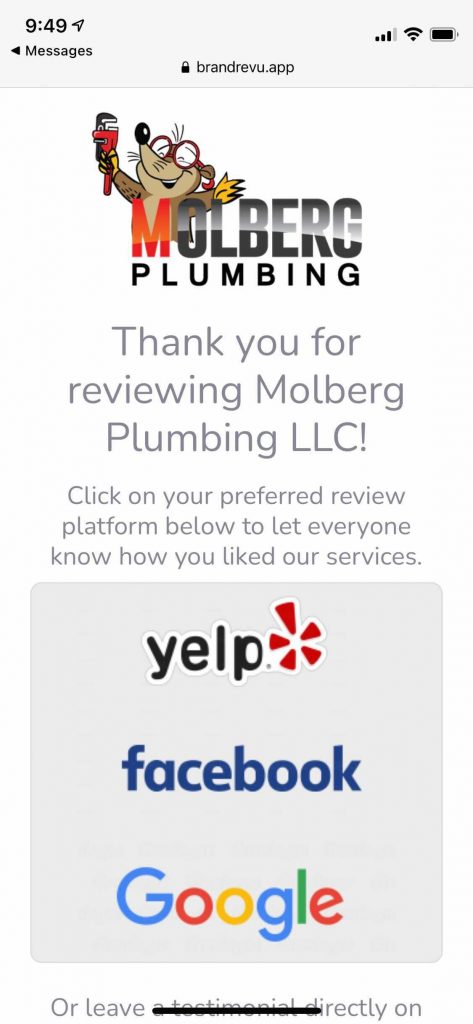 Example of Molberg Plumbing Review Request