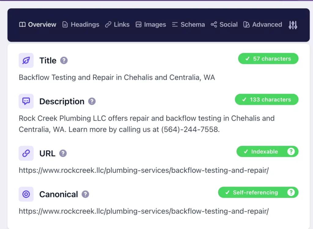 Plumbing On-Page SEO Example From Detail Chrome Plugin
