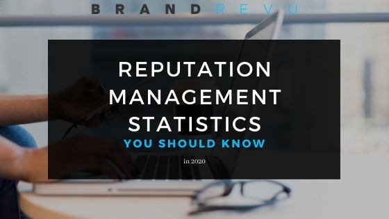 Reputation Management Statistics Cover